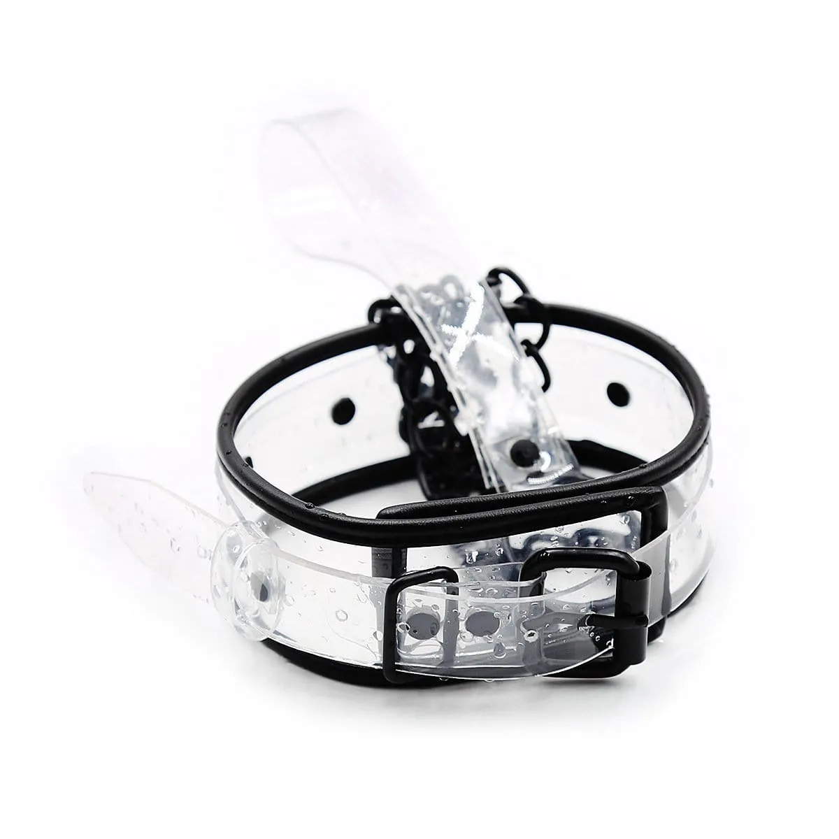1834MQ      Clearly Comfy Collar with Black Hardware, Padded Edge and Matching Leash
